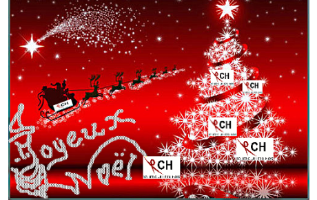 Joyeuses Fêtes de Noël !